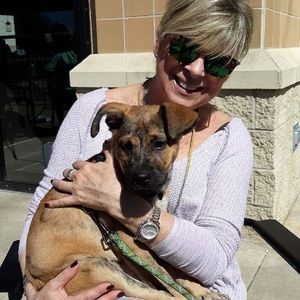 Meet your Posher, Cheryl